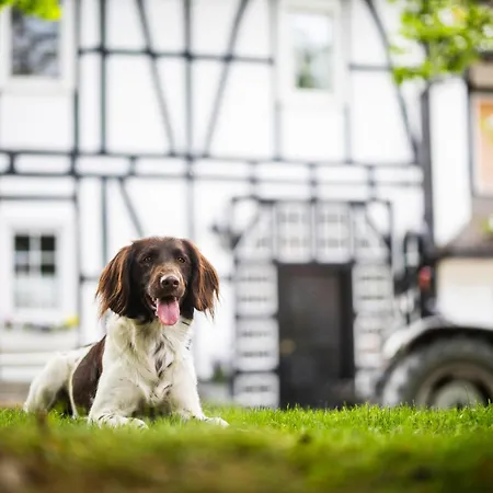Hof Koehne - Forsthaus 2er Feriehus *