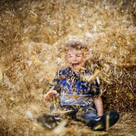 Hof Koehne - Forsthaus 2er Feriehus Schmallenberg