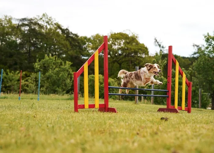 Holiday home Hof Koehne - Forsthaus 2er Schmallenberg
