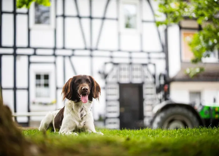 Hof Koehne - Forsthaus 2er Holiday home *