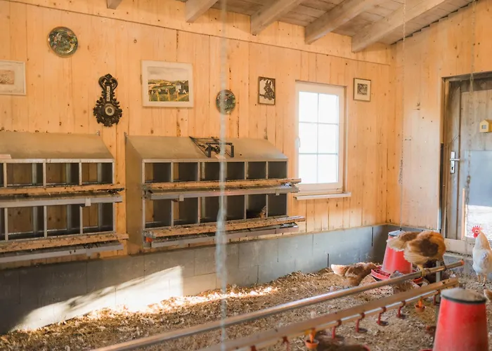 Hof Koehne - Forsthaus 2er